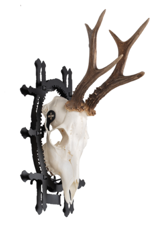 Trophy Carrier PREMIUM