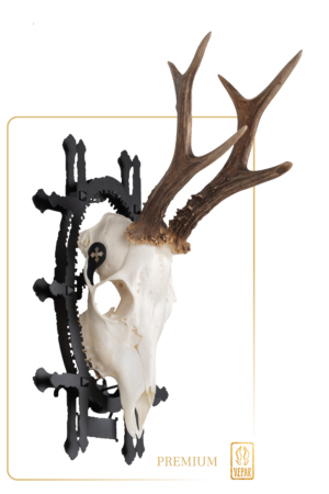 Trophy Carrier PREMIUM