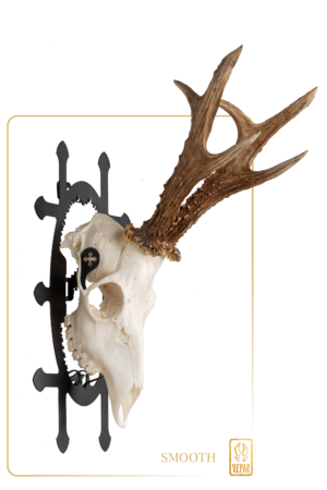 Trophy Carrier SMOOTH