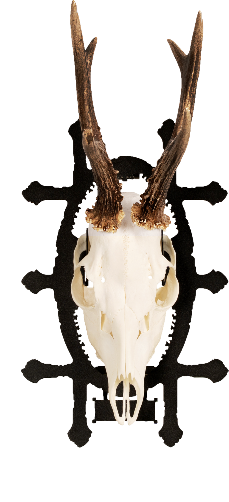 TrophyCarrier_rustic