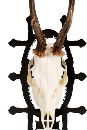 Trophy Carrier RUSTIC