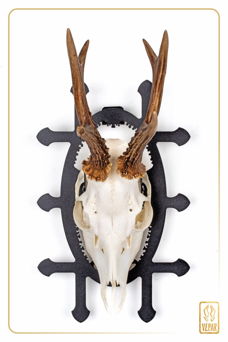 TrophyCarrier_Smooth_1