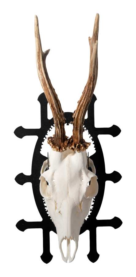 RA408565_frontalno_Smooth_web_naslovnica